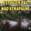 ESTOU EM PAZ NÃO ATRAPALHE