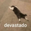 devastado