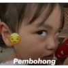 Pembohong