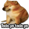 Todo yo todo yo