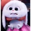 Snowball Rabbit 2 8