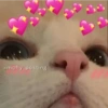 @mcfly posting