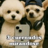 3 cuernudos mirandose