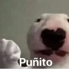 Puñito
