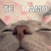TE MAMO