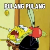 PULANG PULANG TS Pwettykoala