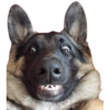 Adesivos que você vai precisar  9