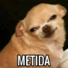 METIDA