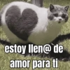 estoy llen@de amor para ti