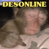 DESONLINE