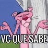 MEMES ALEATÓRIOS 🤪 9