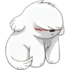 Cute dog 🤍🦴🏠 Perro Blanco 11