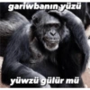 Gorilcomics 7