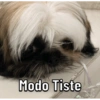Timoteo 5