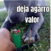 deja agarro valor