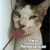 Tewas Mengenaskan