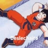 Deslechaito