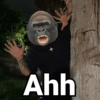 Ahh
