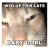 WYD UP THIS LATE @softcatmemes BABY GORL
