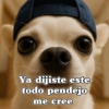Ya dijiste este todo pendejo me cree