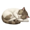 IPhone emoji animals  11