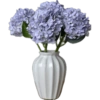 Flores - Flowers 💐  12