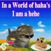 In a World of haha's I am a hehe