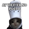 AY WEY, YA NO PUEDO