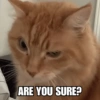 ARE YOU SURE?