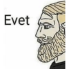 Evet 頂