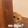 me dejas?