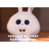 TERDIAM MELIHAT KEBODOHANMU