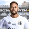 ORCIDA VEM* umbro TEK BOND SAINT-GOBAIN S.F.C. l