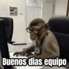 Buenos días equipo