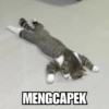 MENGCAPEK