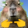 Capibara 🧸✨ 7