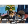 Olha Maurice um bocó