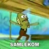 C SAMLEKOM