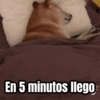 Guarromantica En 5 minutos llego