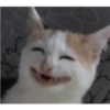 Drkbeast 9