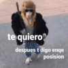 te quiero despues t digo enqe posision