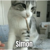 Simon