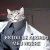 ESTOU DE ACORDO MEU NOBRE
