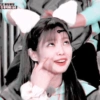 Jennie Cat #1 5