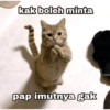 kak boleh minta pap imutnya gak