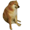 Funny Dogs 5