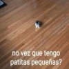 no vez que tengo patitas pequeñas?