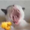 Respostas que vc precisa 13