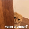 vamo a comer?
