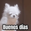 Buenos días